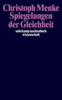 Spiegelungen der Gleichheit (suhrkamp taschenbuch wissenschaft)