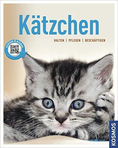 Kätzchen: halten, pflegen, beschäftigen (Mein Tier)