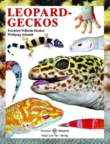 Leopardgeckos