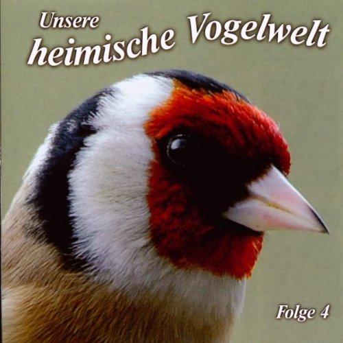 Unsere heimische Vogelwelt 4: Gesänge und Rufe