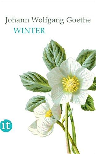 Winter (insel taschenbuch)