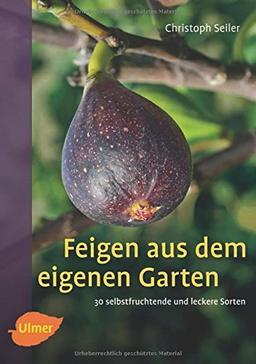 Feigen aus dem eigenen Garten: 30 selbstfruchtende und leckere Sorten