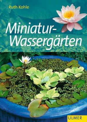 Schöne Miniatur - Wassergärten