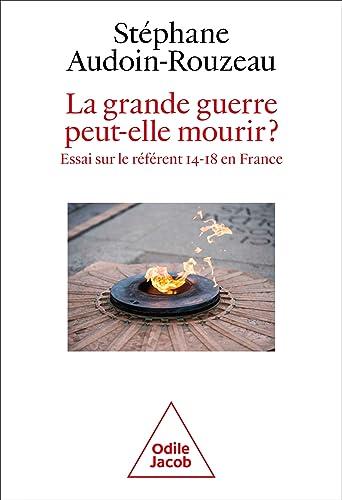 La Grande Guerre peut-elle mourir ? : essai sur le référent 14-18 en France