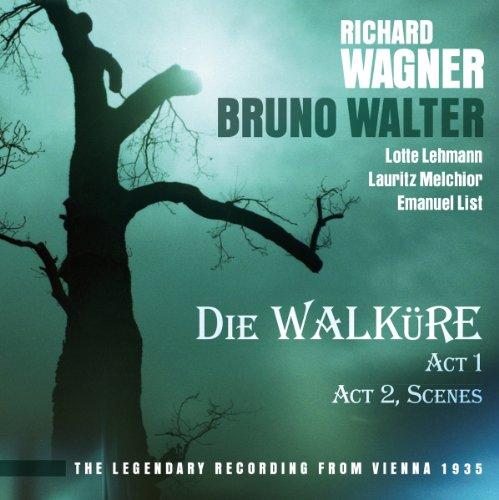 Wagner: die Walküre,Act 1