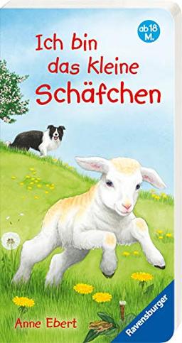 Ich bin das kleine Schäfchen