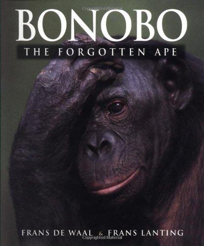 Bonobo. The Forgotten Ape