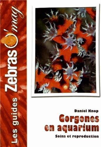 Gorgones : maintenance et reproduction en aquarium