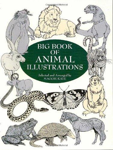 Big Book of Animal Illustrations (Dover Pictorial Archives)