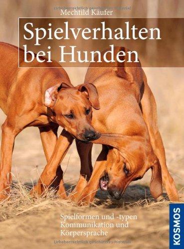 Spielverhalten bei Hunden: Spielformen und -typen. Kommunikation und Körpersprache