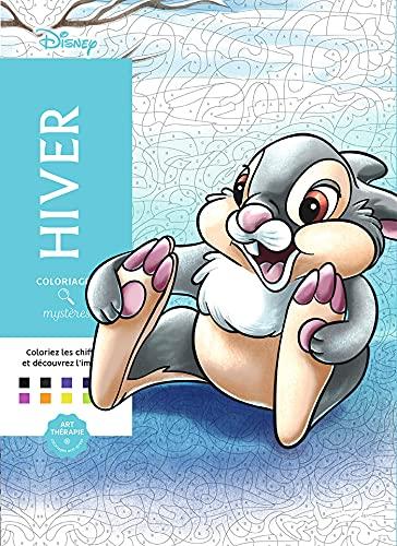 Hiver : coloriages mystères