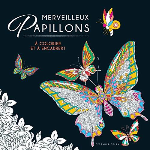 Merveilleux papillons : à colorier et à encadrer !