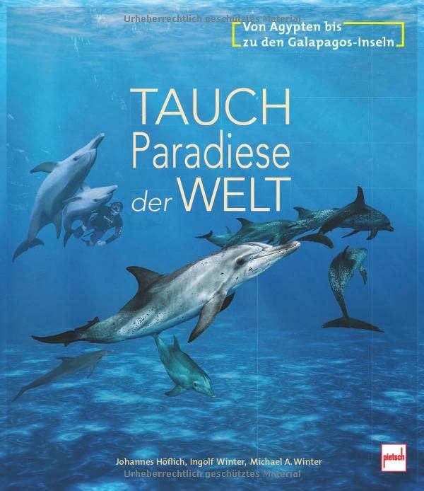 Tauchparadiese der Welt: Von Ägypten bis zu den Galapagos-Inseln