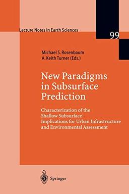 Subsurface Conditions (Lecture Notes in Earth Sciences, 99, Band 99)