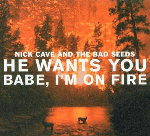 He Wants You/Babe I'm on Fire