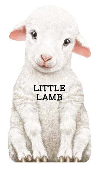 Little Lamb: Look at Me (Look at Me Books)