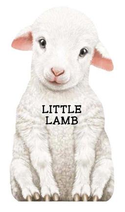 Little Lamb: Look at Me (Look at Me Books)