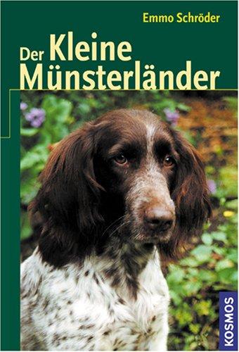 Der Kleine Münsterländer