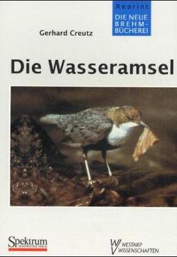 WASSERAMSEL: Cinclus cinclus