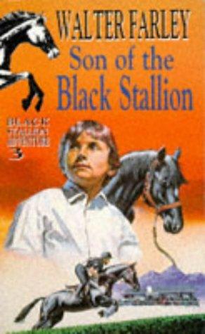 Son Of The Black Stallion (Knight Books)