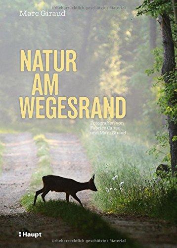 Natur am Wegesrand