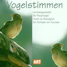 Vogelstimmen