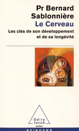 Le cerveau : les clés de son développement et de sa longévité