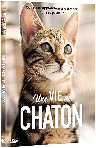 Une vie de chaton [FR Import]