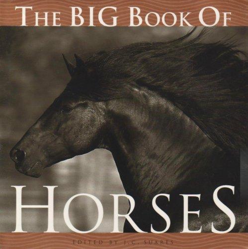 Big Book of Horses