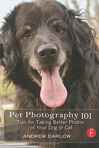 Pet Photography 101: Tips for Taking Better Photos of Your Dog or Cat