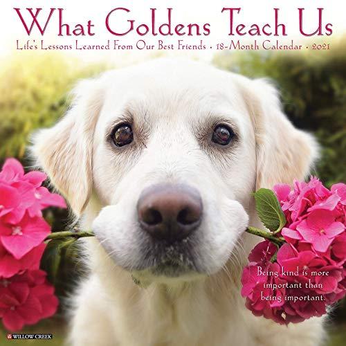 What Goldens Teach Us 2021 Calendar