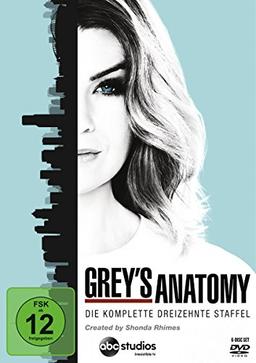 Grey's Anatomy: Die jungen Ärzte - Die komplette 13. Staffel [6 DVDs]