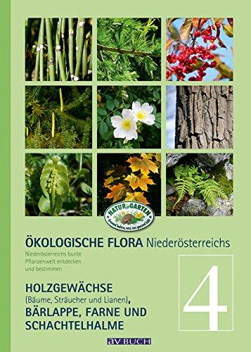 Ökologische Flora - Nieder-Österreichs Pflanzenwelt entdecken und bestimmen: Band 4- Holzgewächse (Bäume, Sträucher und Lianen), Bär- Lappe, Stachelhalme und Farne