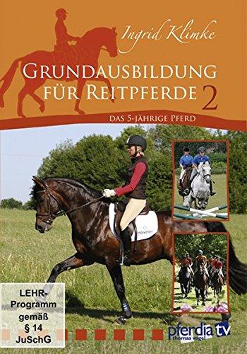 Grundausbildung für Reitpferde 2