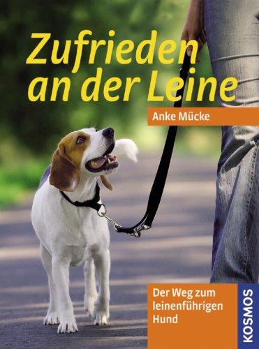 Zufrieden an der Leine: Der Weg zum leinenführigen Hund