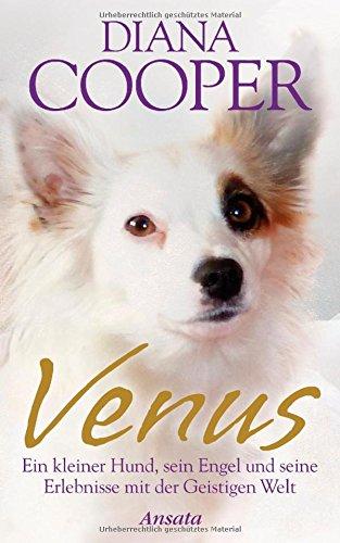 Venus: Ein kleiner Hund, sein Engel und seine Erlebnisse mit der Geistigen Welt