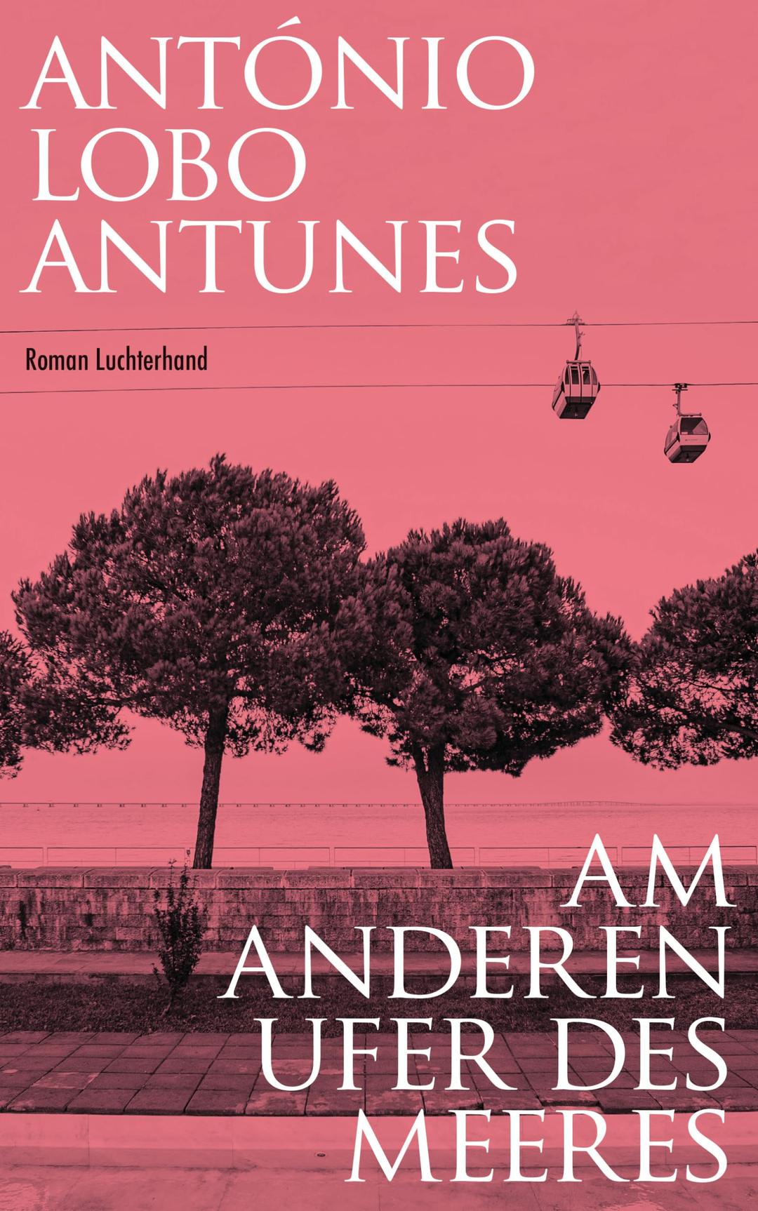 Am anderen Ufer des Meeres: Roman