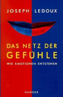 Das Netz der Gefühle: Wie Emotionen entstehen