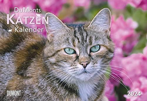 DUMONTS Katzenkalender 2024 - Broschürenkalender - Wandkalender - mit Schulferienterminen - Format 42 x 29 cm: mit kurzweiligen Katzengeschichten