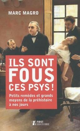 Ils sont fous ces psys ! : petits remèdes et grands moyens de la préhistoire à nos jours