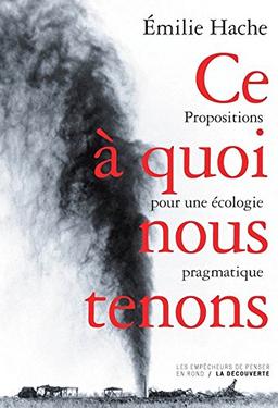 Ce à quoi nous tenons : propositions pour une écologie pragmatique