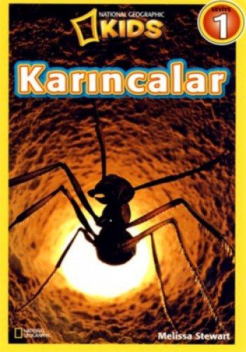 KARINCALAR SEVİYE 1