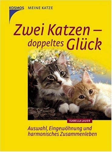 Zwei Katzen - doppeltes Glück: Auswahl, Eingewöhnung und harmonisches Zusammenleben