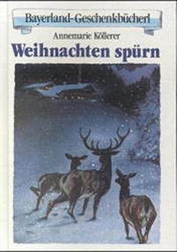 Weihnachten spürn (Bayerland-Geschenkbücherl)