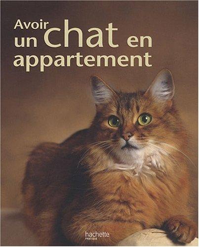 Avoir un chat en appartement