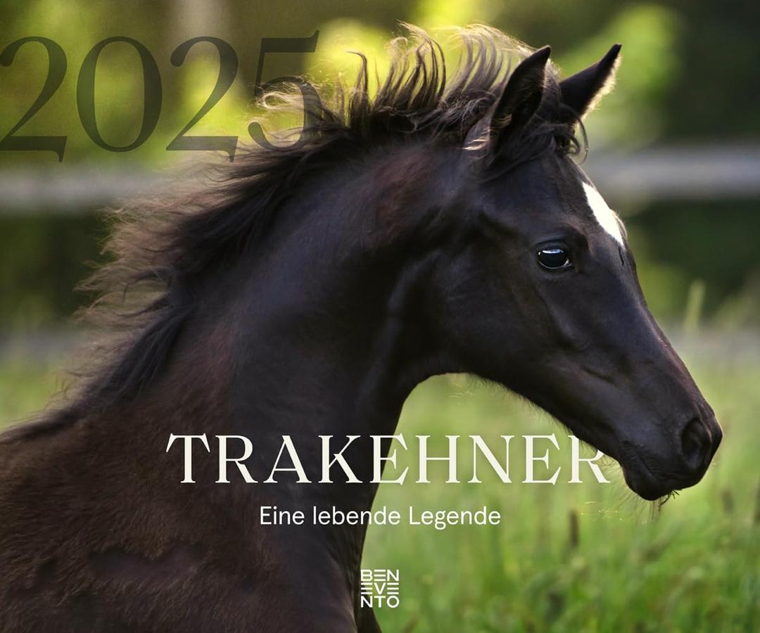 Trakehner 2025: Eine lebende Legende