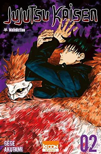 Jujutsu kaisen. Vol. 2. Naissance de la matrice