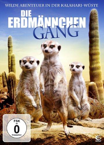 Die Erdmännchen Gang - Wilde Abenteuer in der Kalahari-Wüste