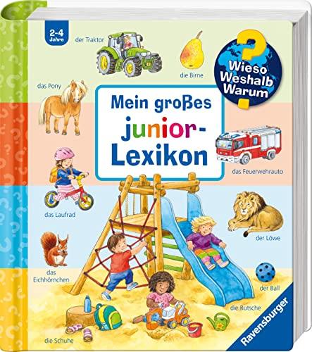 Wieso? Weshalb? Warum? Mein großes junior-Lexikon (Wieso? Weshalb? Warum? junior)