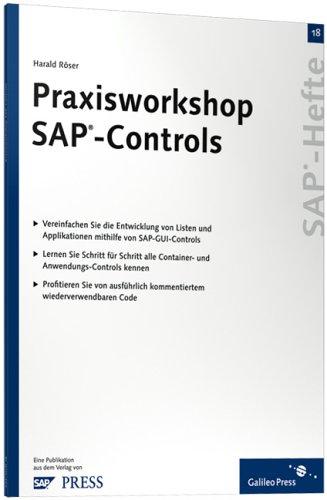 Praxisworkshop SAP-Controls: SAP-Heft 18 (SAP-Hefte)